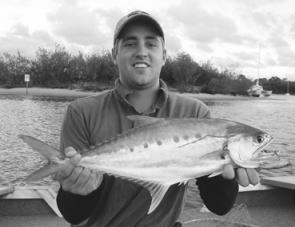Keen local angler Ben Maiden caught this Noosa River queenfish on an Owner popper.